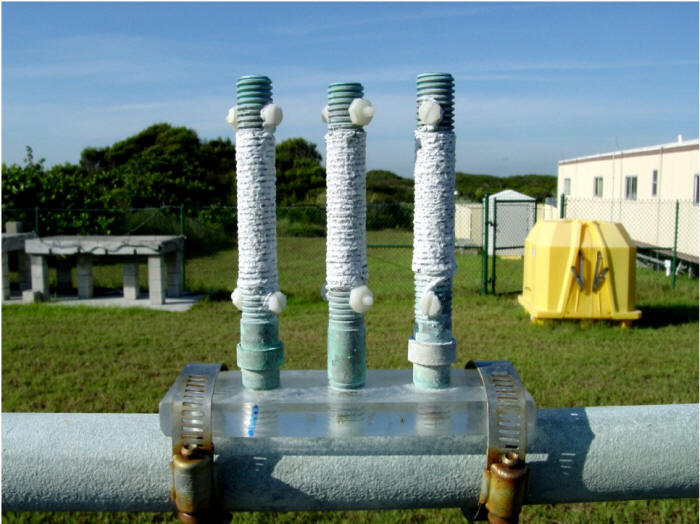 A CLIMAT coupon with three copper rods at the Kennedy Space Center beach corrosion test site after sixty days