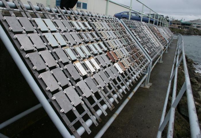 Atmospheric test rack exposed to a marine West Coast environments. (Courtesy of Defence R&D Canada Atlantic) 