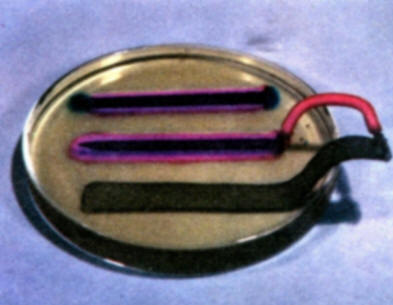 The development of a red color on the iron surface shows that it is now acting entirely as a cathode. 