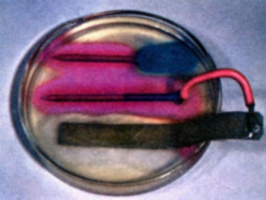 Note again that a red color develops on the nail receiving protection from the sacrificial zinc anode.