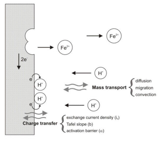 Graphical representation of the processes occurring at an electrochemical interface
