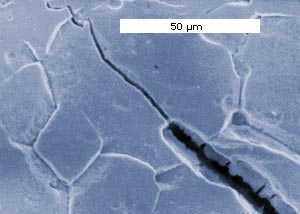 A primary corrosion-fatigue crack that in part has been widened by a secondary corrosion reaction